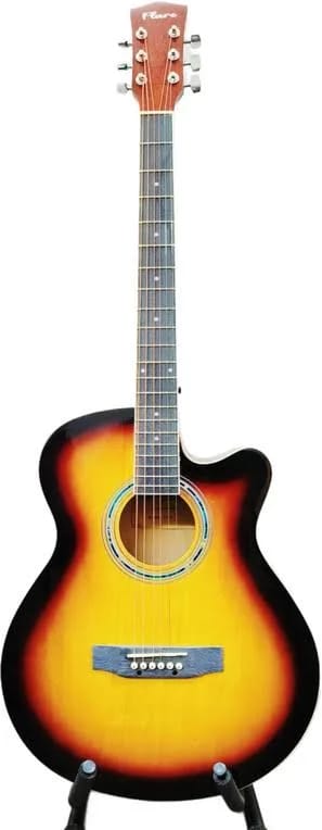 Guitar With Pickup Nirvana