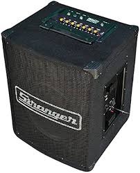 Stranger 110 (Amplifire) Musical Instrument