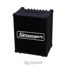 Stranger 40 w Musical Instrument